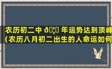 农历初二中 🦆 年运势达到顶峰（农历八月初二出生的人命运如何）